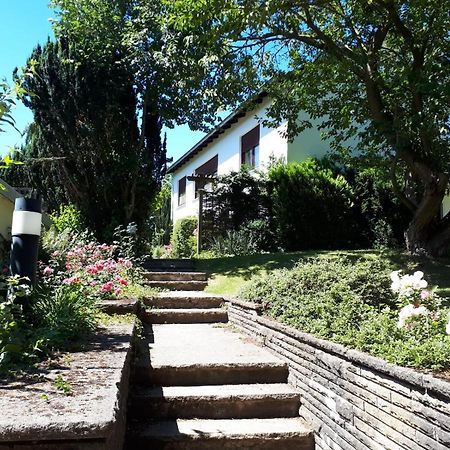 Apartmán Gruene Oase Und Trotzdem Zentral Hamelin Exteriér fotografie